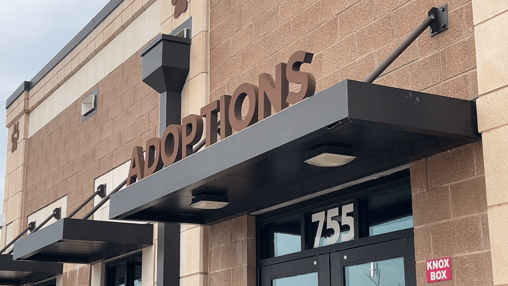 League City Animal Care Hosting Late-Night ‘Black FURday’ Adoption&nbsp;Event