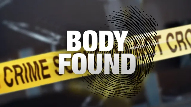 Investigation underway after human remains found off Highway 3 in La Marque