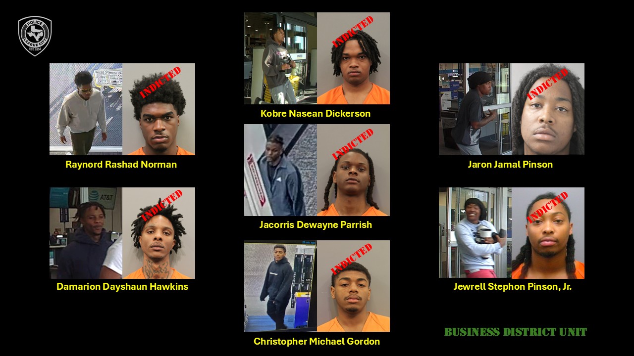 Seven indicted in $260K Best Buy theft ring spanning Texas